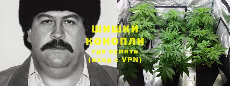 Бошки Шишки Bruce Banner  Кировск 